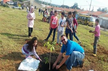Foto - Semana do Meio Ambiente