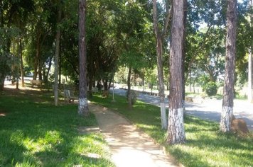 Foto - Belezas de Pereiras