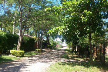 Foto - Salve, Salve Pereiras