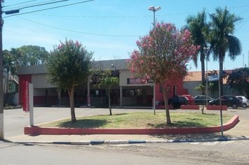 Foto - Salve, Salve Pereiras