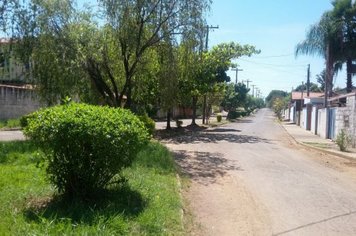 Foto - Salve, Salve Pereiras