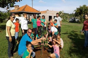 Foto - Semana do Meio Ambiente