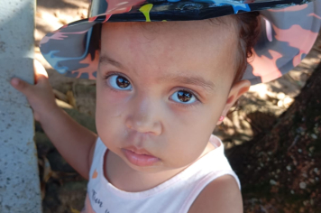 Foto - CARNAVAL nas Creches e Escolas Municipais!