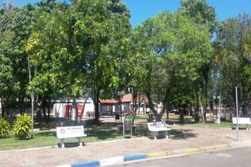 Foto - Salve, Salve Pereiras