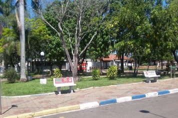 Foto - Salve, Salve Pereiras