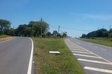 Foto - Salve, Salve Pereiras