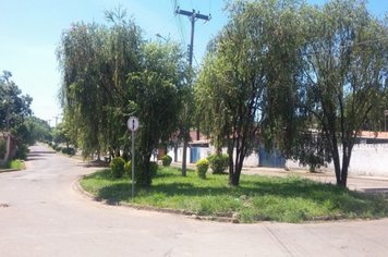 Foto - Salve, Salve Pereiras