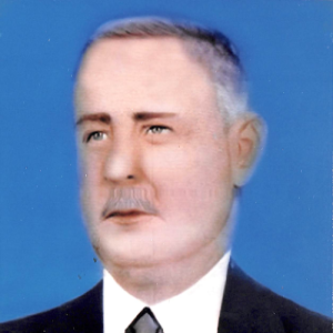 Joinville Ferreira de Moraes