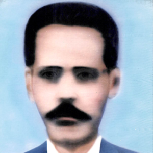 João Domingues Vieira