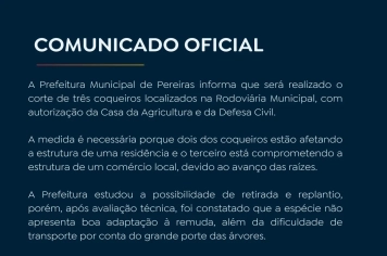 Prefeitura informa sobre corte de coqueiros próximos à Rodoviária Municipal