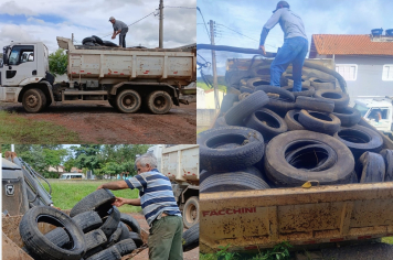 Ação de combate à dengue!