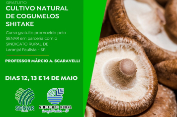 Curso Gratuito de Cultivo Natural de Cogumelos - Shiitake!