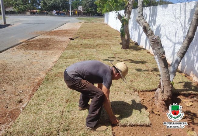 Um novo visual para a nossa cidade! 