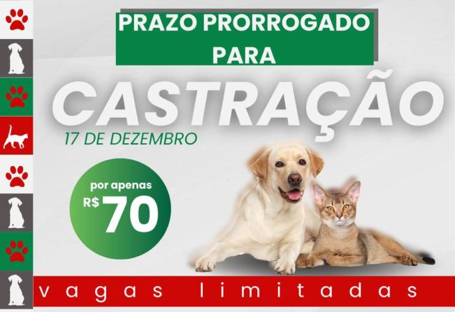 Campanha de Castração 2023 PRORROGADA para dia 17/12